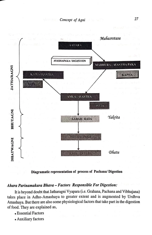 Clinical Gastroenerology In Ayurveda (CSBG 188)